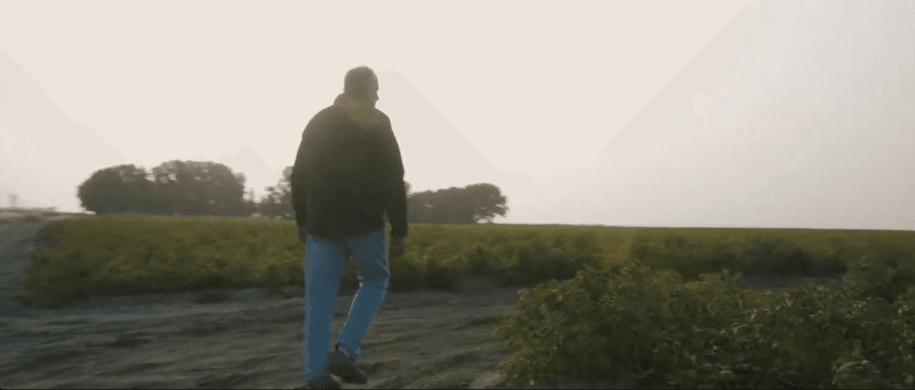 Excite Lethbridge | Potato Story